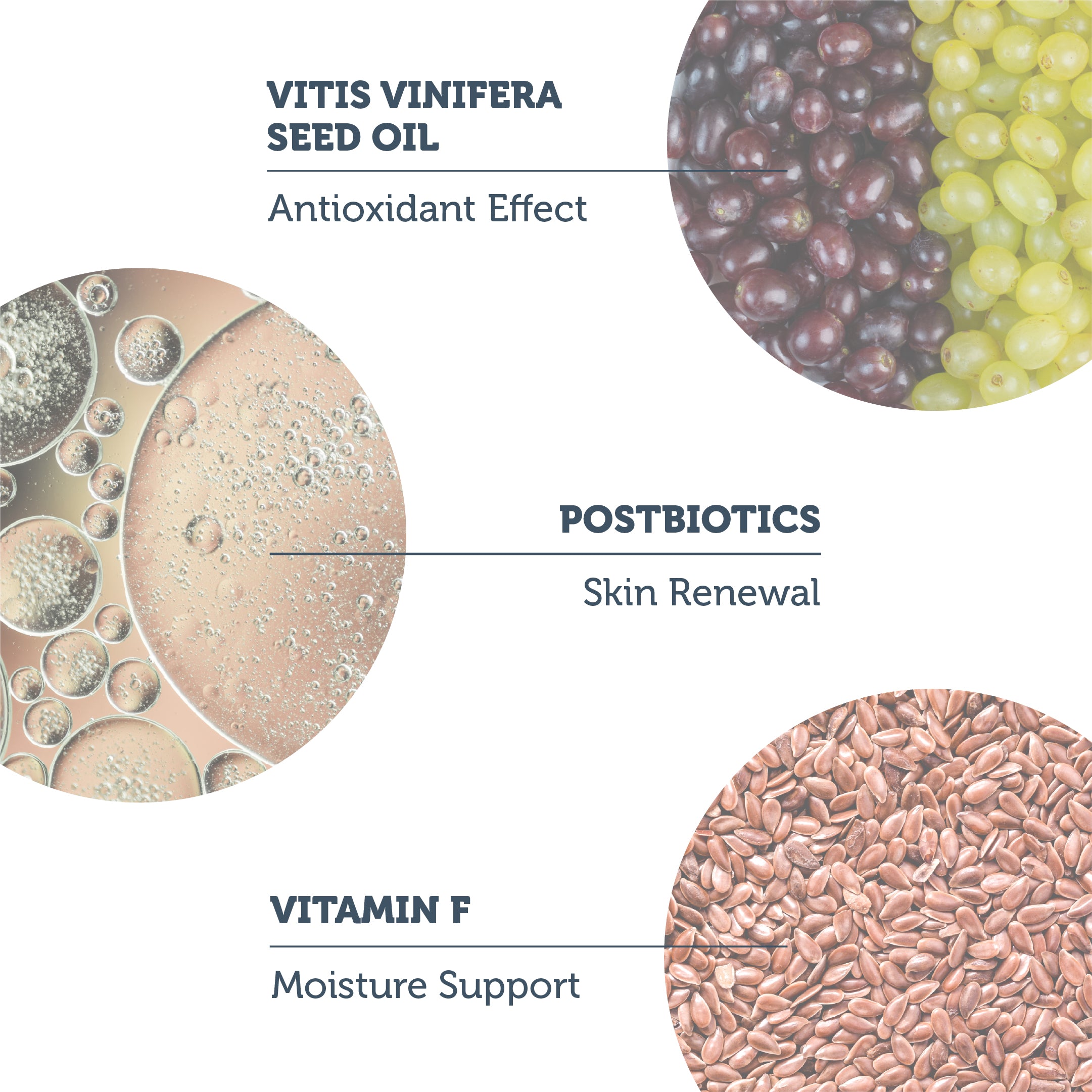 Purifying Oil Cleanser with Postbiotics 150 ml